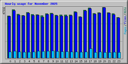 Hourly usage for November 2025