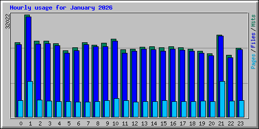 Hourly usage for January 2026