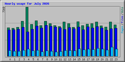 Hourly usage for July 2026
